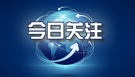 宠物伤人谁之过