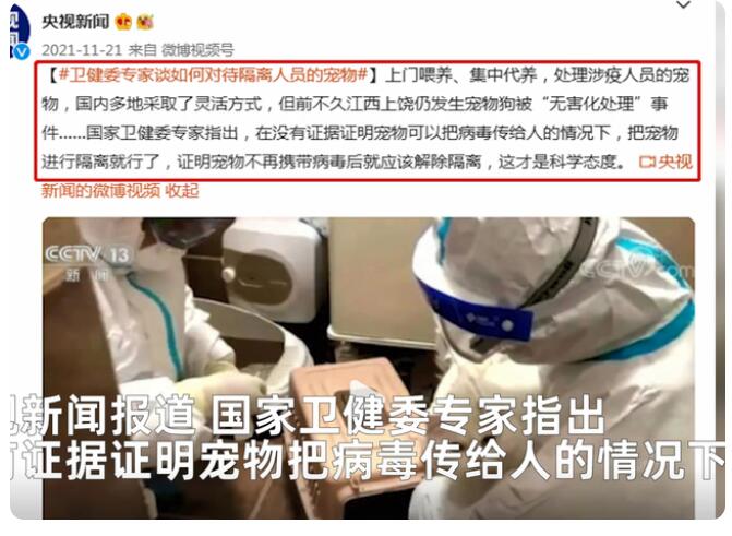 廊坊一地下发文件：扑杀所有阳性患者家中的宠物！