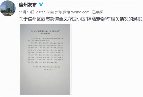 “隔离宠物狗被扑杀”,别拿别人的宠物当畜生 “隔离宠物狗被扑杀”,别拿别人的宠物当畜生
