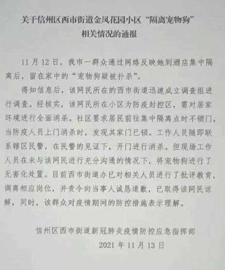 “隔离宠物狗被扑杀”，处理结果来了