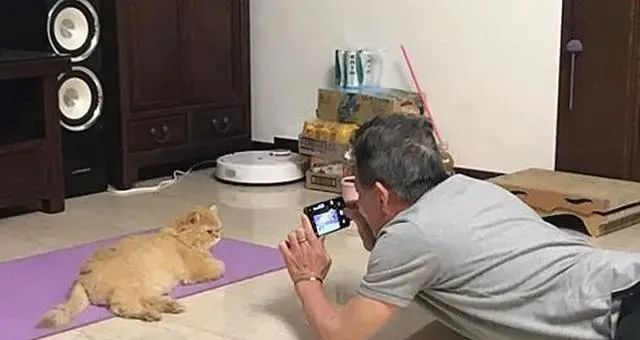 一开始父亲强烈反对养猫，没过多久铲屎官却扎心了：这是我亲爸？