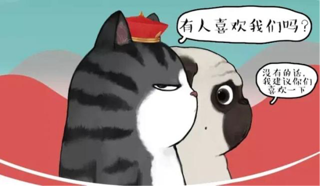 撸猫逗狗就能躺赢?聊聊宠物博主的赚钱经 撸猫逗狗就能躺赢?聊聊宠物博主的赚钱经