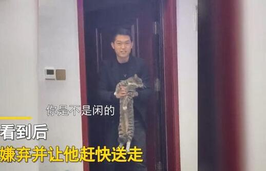 妻子坚决不同意养猫，隔了几天后却变了个人