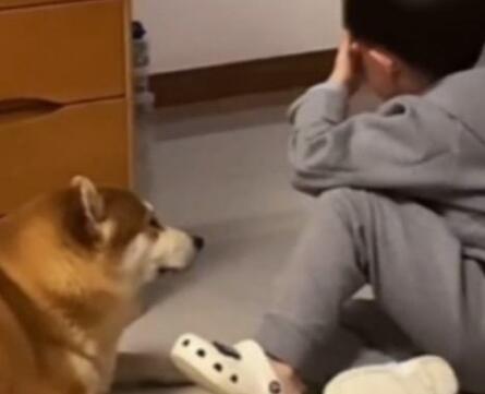 男孩听妈妈说“狗狗年纪大了”,随后的举动让人破防 男孩听妈妈说“狗狗年纪大了”,随后的举动让人破防