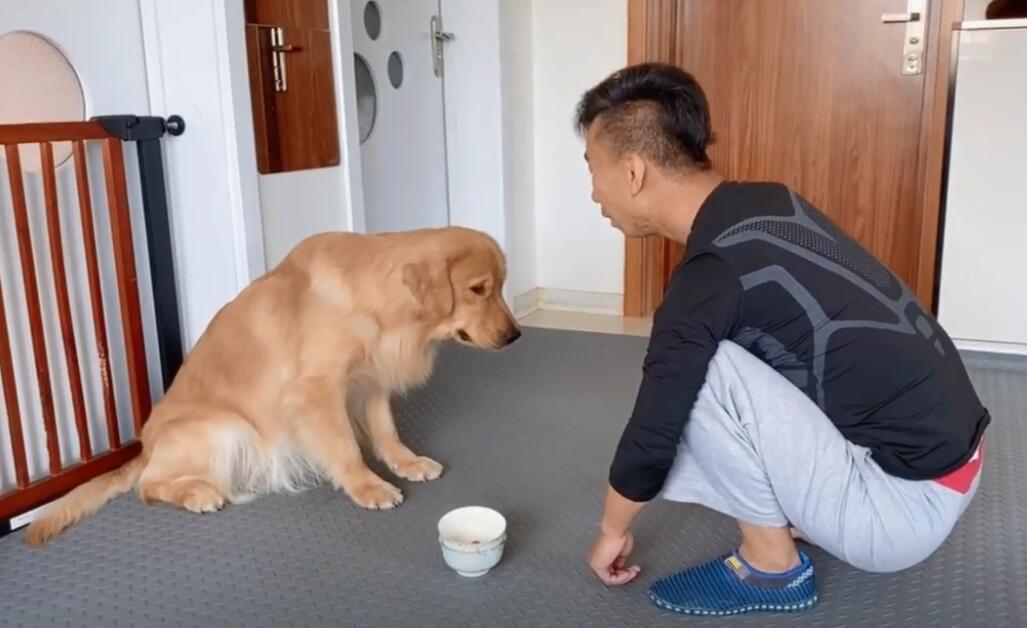 不知道宠物博主辛巴是只汪是谁？来这看看~