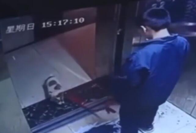“男孩偷走宠物狗用电梯夹死”后续,多个细节曝光,家长再惹众怒 “男孩偷走宠物狗用电梯夹死”后续,多个细节曝光,家长再惹众怒