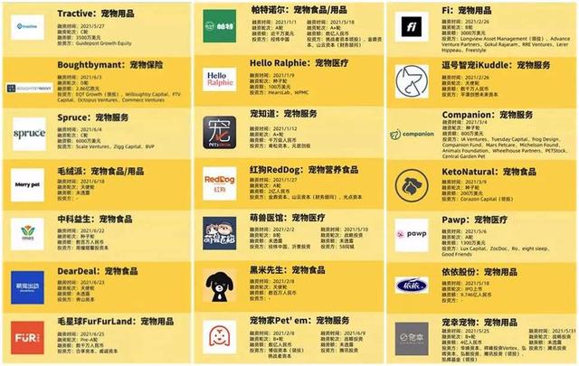 一只狗直播月入百万，宠物太吸金了