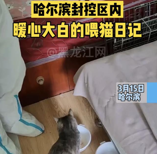 破防了!疫情之下这些宠物被温柔以待 破防了!疫情之下这些宠物被温柔以待