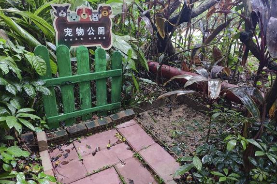文明养犬有新招，南宁多个小区设立“宠物公厕”