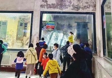 游客期盼天津市动物园“换装”迎客