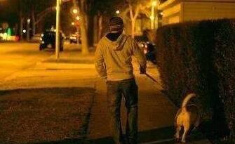 为何很多国人半夜才遛狗？并且见老人就跑，还不愿和陌生狗玩？