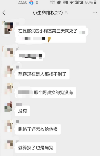 3日病,7日亡!南宁多人在这一网店买到“星期宠物” 3日病,7日亡!南宁多人在这一网店买到“星期宠物”