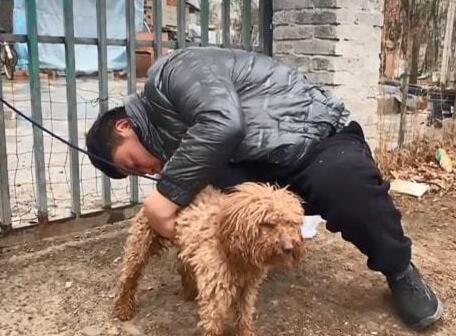 狗肉馆里的一只泰迪,冲着路人不停作揖 狗肉馆里的一只泰迪,冲着路人不停作揖