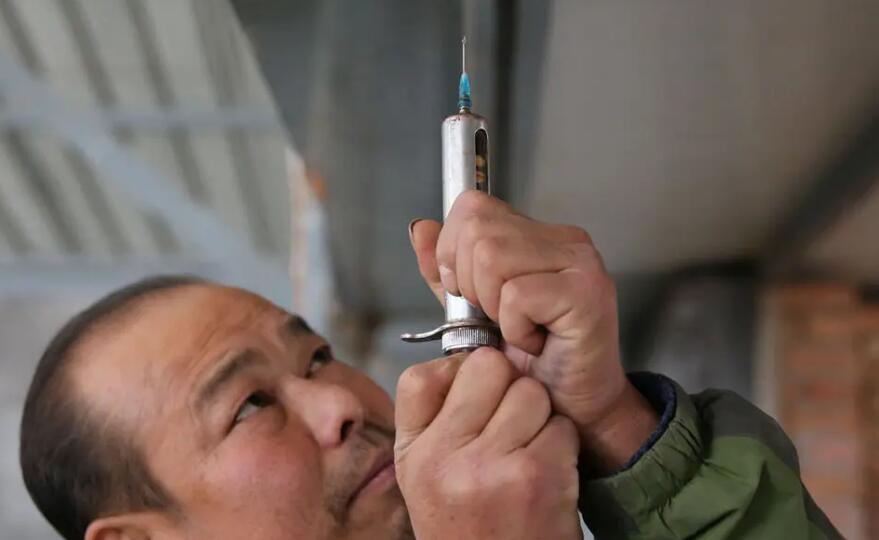 筑牢动物防疫堡垒陕西拟对乡村兽医每两年开展一次培训