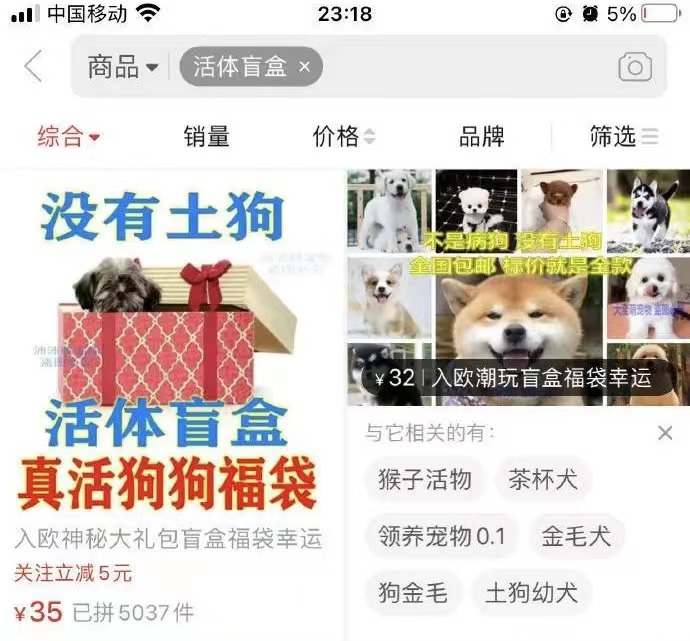 疯了！国内“宠物盲盒”狂卖，大批幼猫幼犬被塞箱活活憋死…