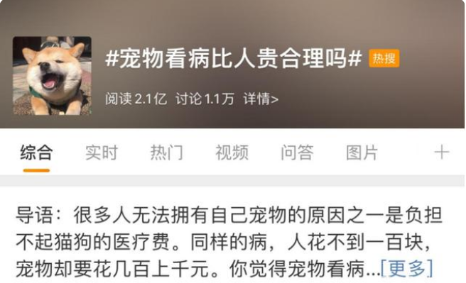 国内宠物医疗现状，给宠物看病有多贵？