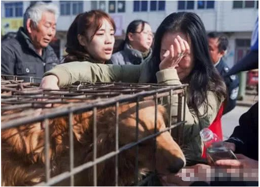 狗贩子街头吆喝卖狗,爱狗人士不忍出价赎救,狗贩行为却引发民怒 狗贩子街头吆喝卖狗,爱狗人士不忍出价赎救,狗贩行为却引发民怒