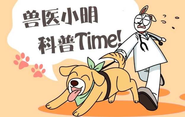 4只狗狗一起拍全家福，白色柴犬总是不在状态，这是戏精上身吗？
