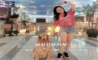 金毛卡拉会什么