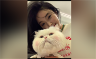 球球是只猫的主人是谁