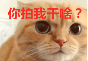 这只“拉粑粑”的猫咪，表情也太呆萌了。