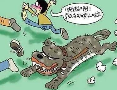 注意!铲屎官别忽视了,这都是狗狗得“狂犬病”的征兆 注意!铲屎官别忽视了,这都是狗狗得“狂犬病”的征兆