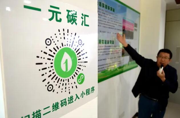 全国首例“以碳代偿”野生动物保护公益诉讼案宣判
