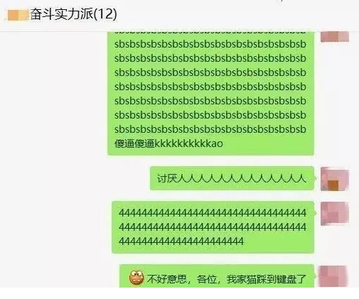 快要被猫咪逼疯了,有没有同款猫咪? 快要被猫咪逼疯了,有没有同款猫咪?