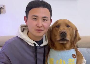 你们看过金毛多多的成长搞笑视频吗? 你们看过金毛多多的成长搞笑视频吗?
