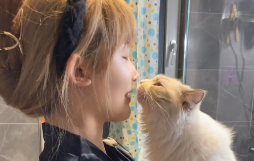 五月是只布偶猫纯不纯