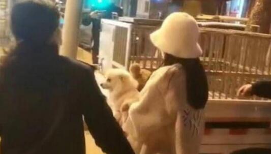 遛狗扑倒小孩,狗主人却称“狗比娃金贵”!警方:处罚狗主人1300元 遛狗扑倒小孩,狗主人却称“狗比娃金贵”!警方:处罚狗主人1300元