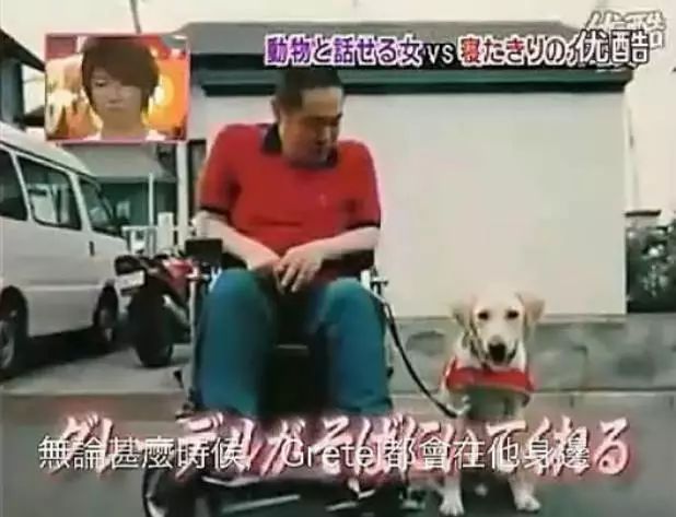 狗狗即将离世，通灵师翻译出了狗狗的遗言，瞬间泪奔