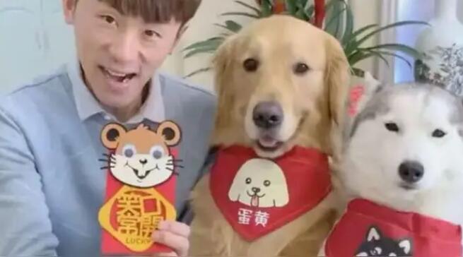 你们认识宠物博主金毛蛋黄吗?来这看看呢~ 你们认识宠物博主金毛蛋黄吗?来这看看呢~