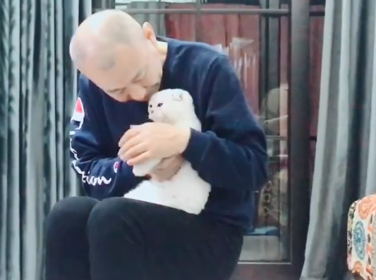 被猫咪俘虏之后的父母,实在是太可爱了。 被猫咪俘虏之后的父母,实在是太可爱了。