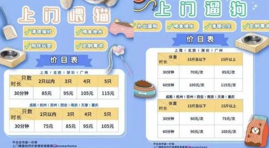 春节前宠物寄养火爆，上门喂养服务兴起！周到君带你体验上门遛狗……