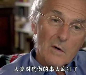 救命呀!我家狗子是大禽兽!它…它竟然睡了它亲妈…... 救命呀!我家狗子是大禽兽!它…它竟然睡了它亲妈…...