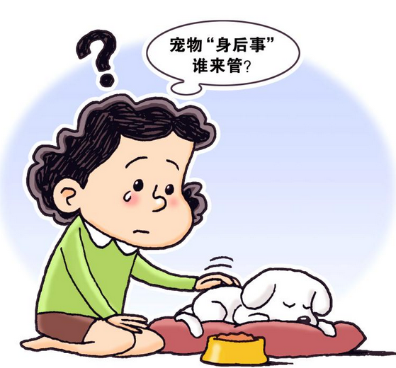 宠物经济火热,宠物“身后事”谁来管? 宠物经济火热,宠物“身后事”谁来管?