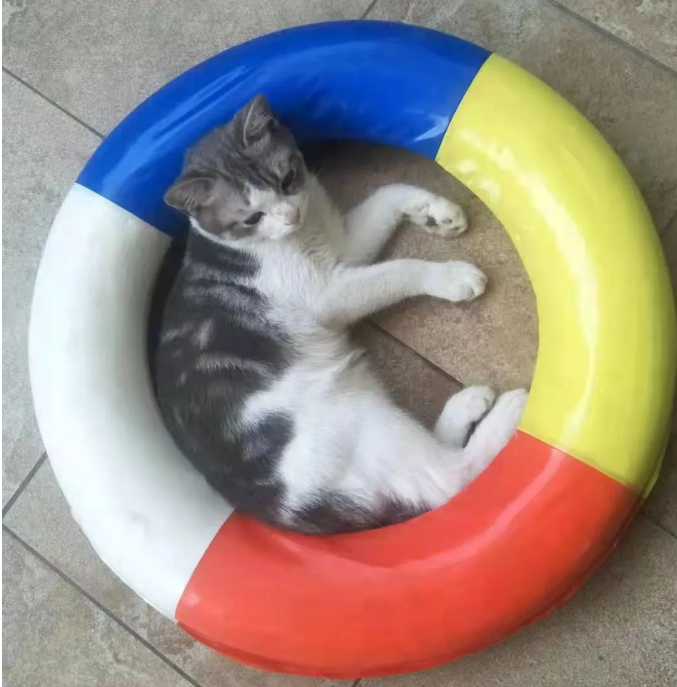 一只猫短暂的一生，再见，小果冻。