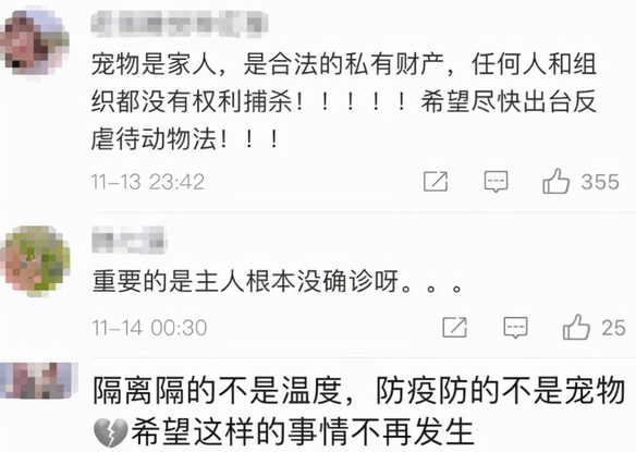 “隔离宠物狗被扑杀”,别拿别人的宠物当畜生 “隔离宠物狗被扑杀”,别拿别人的宠物当畜生