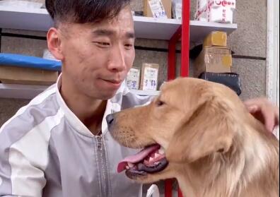 不知道宠物博主辛巴是只汪是谁？来这看看~