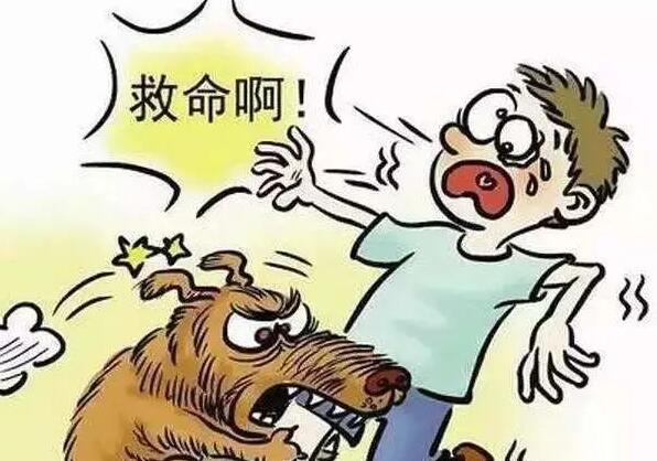 注意!铲屎官别忽视了,这都是狗狗得“狂犬病”的征兆 注意!铲屎官别忽视了,这都是狗狗得“狂犬病”的征兆