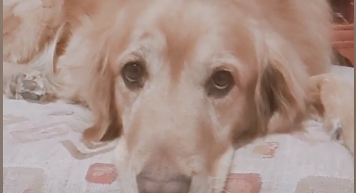 8YULN`[(0Y0%V5OO$32~R4H.png