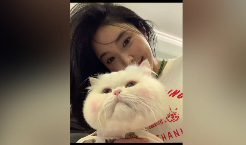 球球是只猫的主人是谁