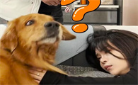 轮胎粑粑和轮胎妈妈离婚了吗