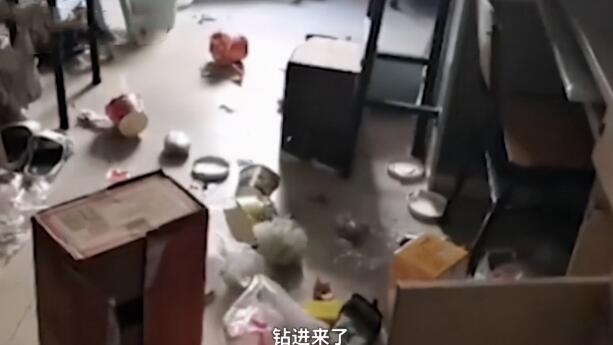 学生推开宿舍门愣在了，瞟了一眼舍友的床后：哪里来的小猫？