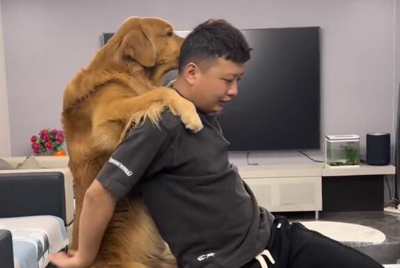 轮胎粑粑是哪里人