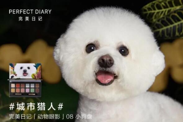 撸猫逗狗就能躺赢?聊聊宠物博主的赚钱经 撸猫逗狗就能躺赢?聊聊宠物博主的赚钱经