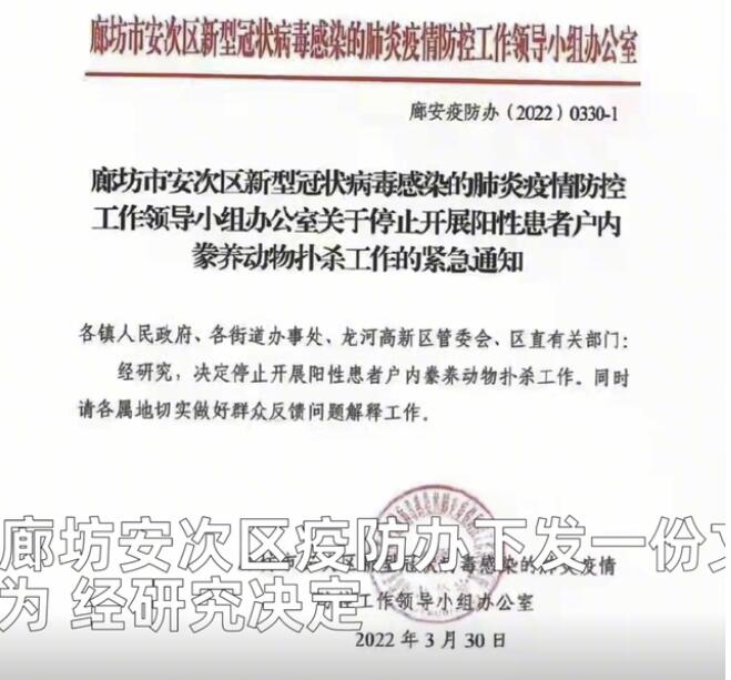 廊坊一地下发文件：扑杀所有阳性患者家中的宠物！