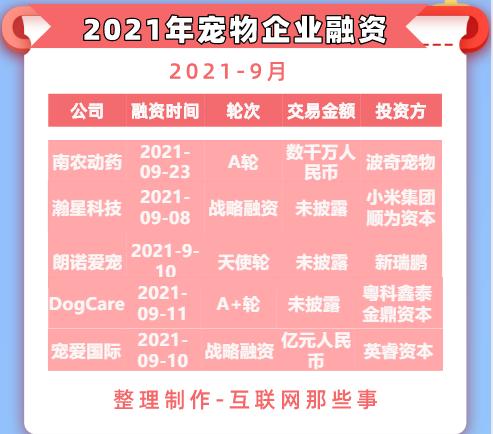 一只狗直播月入百万，宠物太吸金了