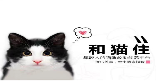 抖音和猫住的联系方式 抖音和猫住的联系方式